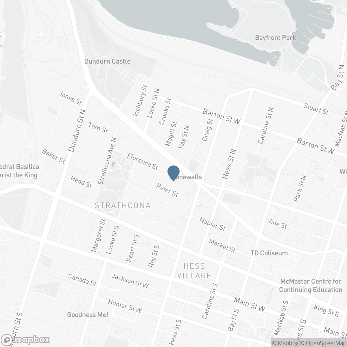 109 RAY STREET, Hamilton, Ontario L8R 2Y1